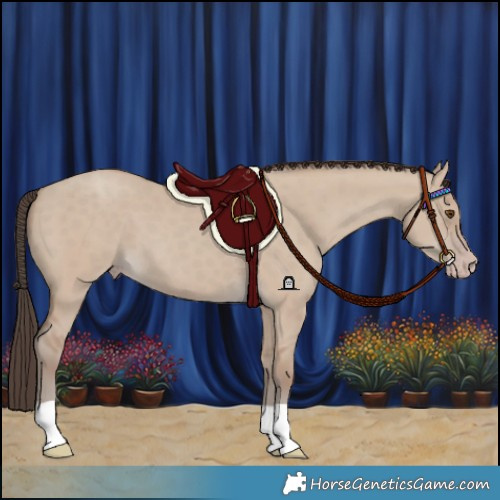 Horse Color:Classic Champagne Dun 