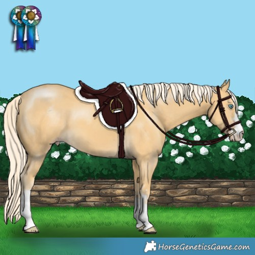 Horse Color:Gold Cream Champagne 