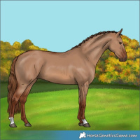 Horse Color:Red Dun