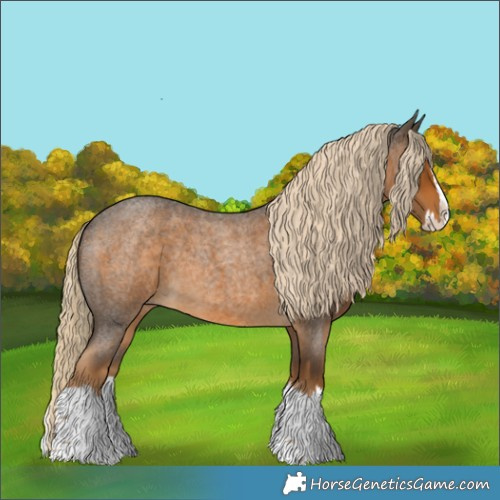 Horse Color:Chocolate Palomino Roan Splash