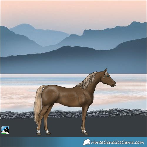 Horse Color:Pseudo Chocolate Palomino Mushroom
