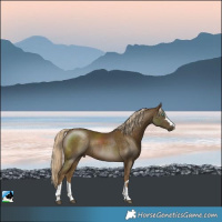 Horse Color:Pseudo Chocolate Palomino Mushroom 