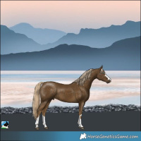 Horse Color:Pseudo Chocolate Palomino Mushroom