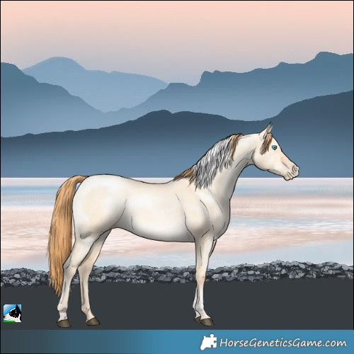 Horse Color:Buckskin Dun Tobiano 