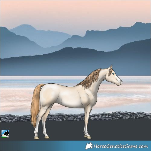 Horse Color:Smoky Grullo