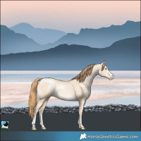 Horse Color:Smoky Grullo 
