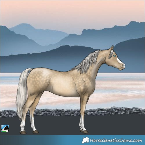 Horse Color:Silver Buckskin 