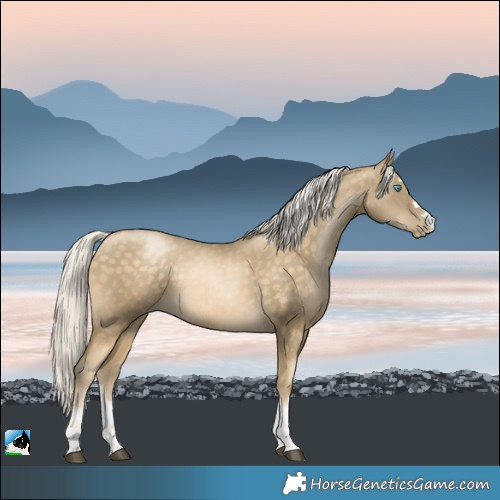 Horse Color:Silver Buckskin