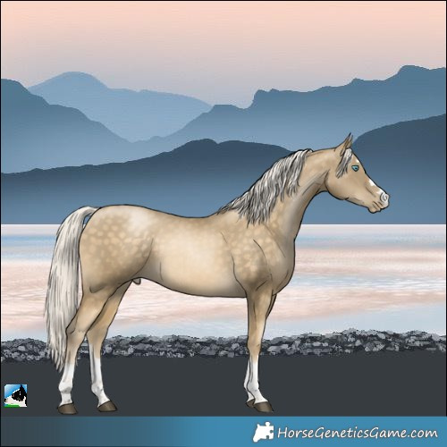 Horse Color:Silver Buckskin 