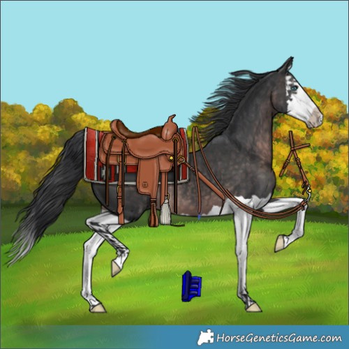 Horse Color:Platinum Brown Splash 