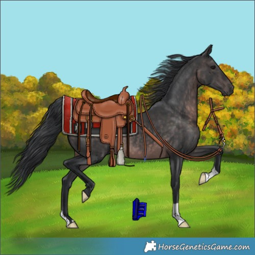 Horse Color:Platinum Brown