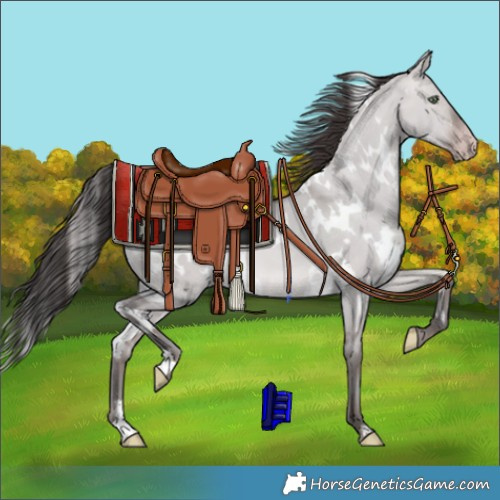 Horse Color:Platinum White Spotted Sable Champagne Dun 