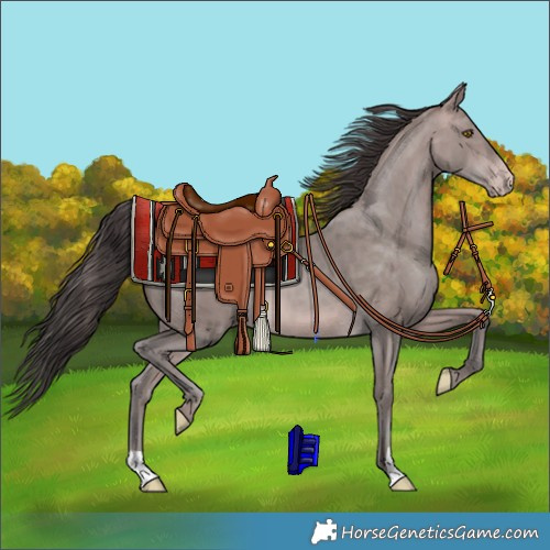 Horse Color:Platinum Sable Champagne 