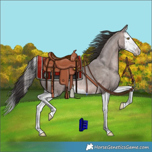 Horse Color:Platinum Sable Champagne Splash 