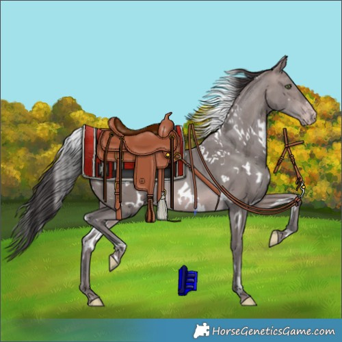 Horse Color:Platinum White Spotted Sable Champagne