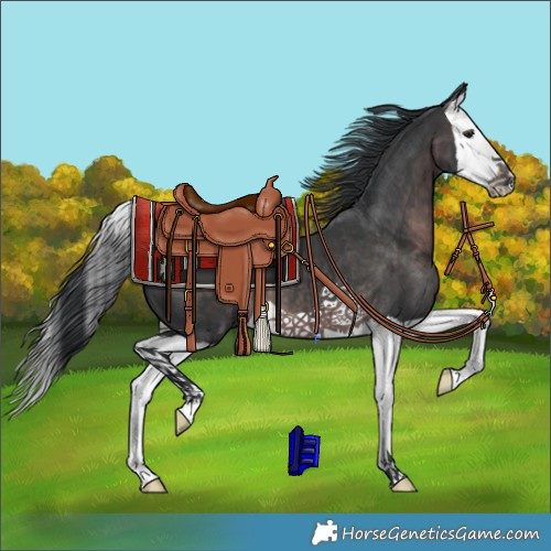 Horse Color:Platinum Brown Splash