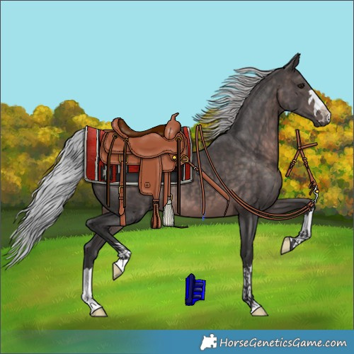 Horse Color:Platinum Silver Brown 