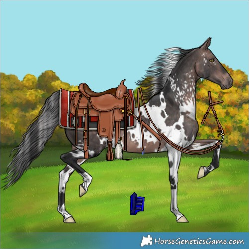 Horse Color:Platinum White Spotted Bay 