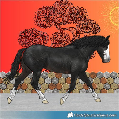 Horse Color:Gray Brown