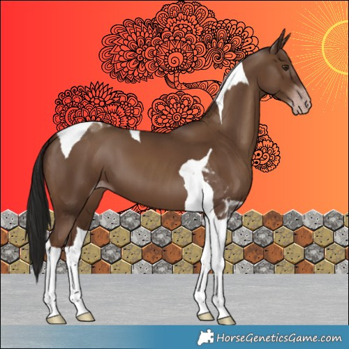 Horse Color:Gray Classic Champagne Tobiano 