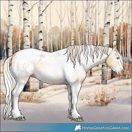 Horse Color:Gray Silver Amber Cream Champagne Roan Dun Splash Tobiano Frame Blanket Rabicano 
