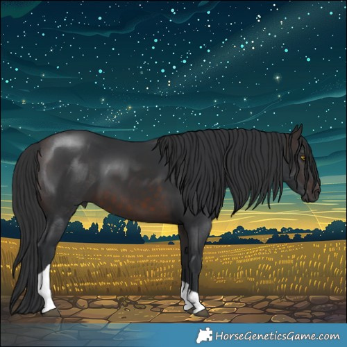 Horse Color:Brown Tobiano 