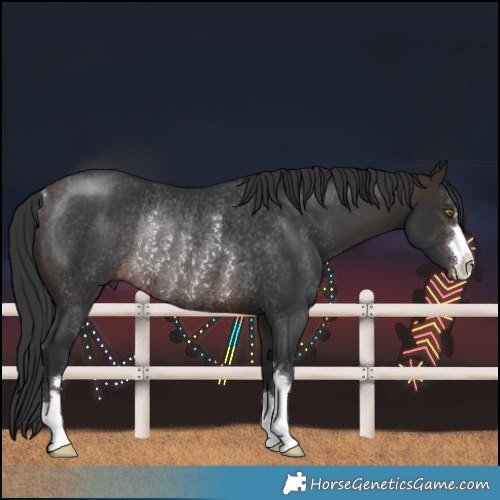 Horse Color:Brown Rabicano 