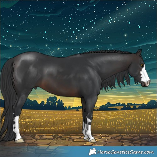 Horse Color:Brown 