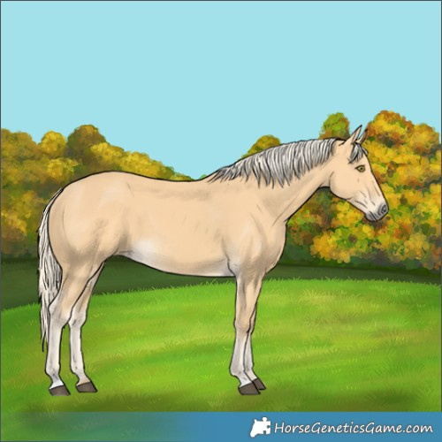Horse Color:Pseudo Palomino