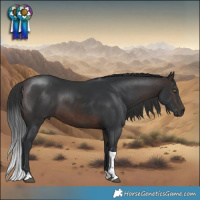 Horse Color:Brown Tobiano
