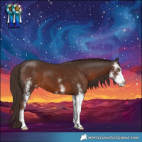Horse Color:Liver Chestnut Sabino Varnish