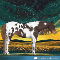 Horse Color:Liver Chestnut Tobiano Blanket 
