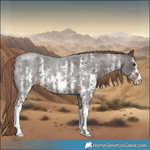 Horse Color:Liver Red Roan Sabino