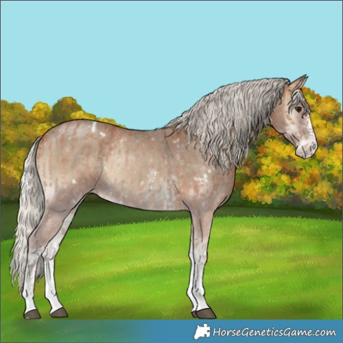 Horse Color:White Spotted Silver Bay Sabino  and Silver Smoky Blue Onyx Sabino 