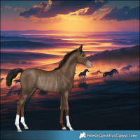 Horse Color:Gray Classic Champagne Rabicano 