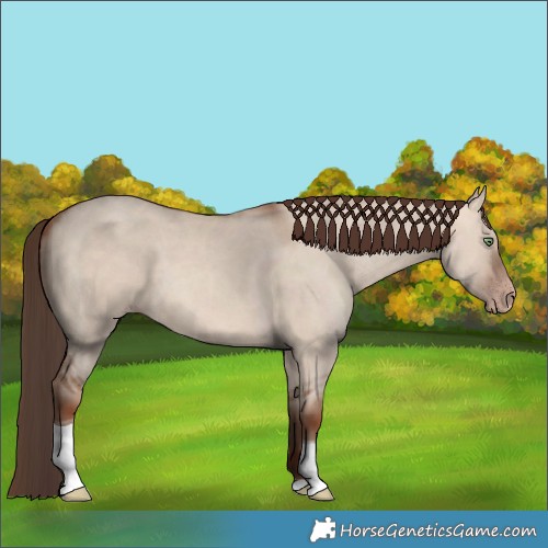 Horse Color:Amber Champagne Dun Tobiano