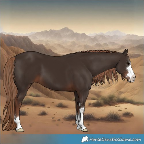 Horse Color:Liver Chestnut 