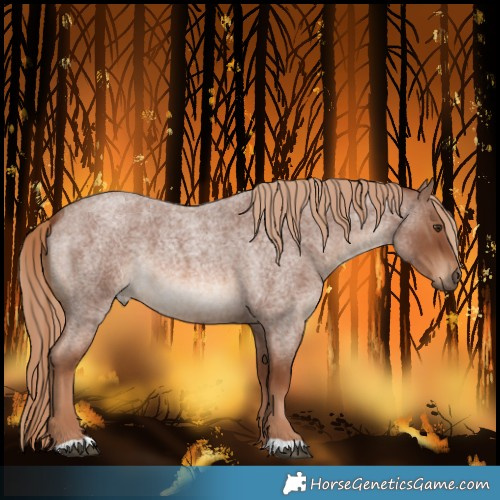 Horse Color:Red Roan 