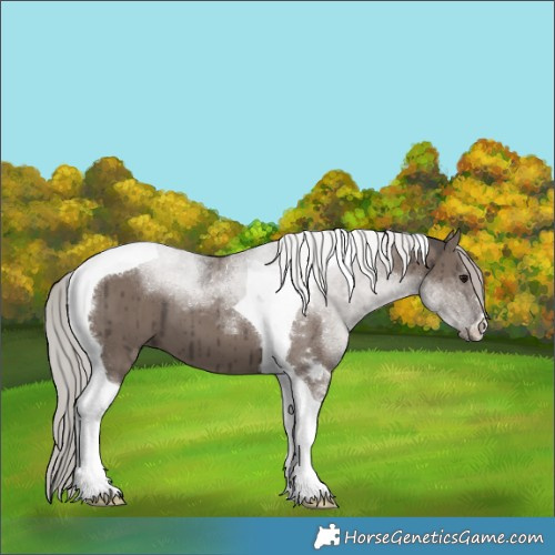 Horse Color:Silver Grullo Mushroom Tobiano Brindle