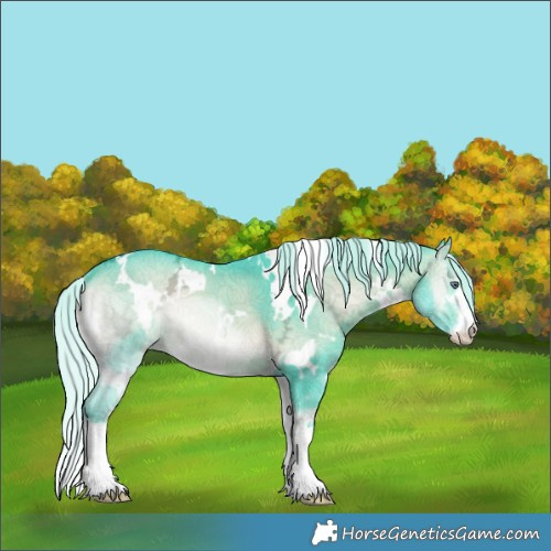 Horse Color:Watercolor White Spotted Silver Brown Chinchilla Ice Onyx 
