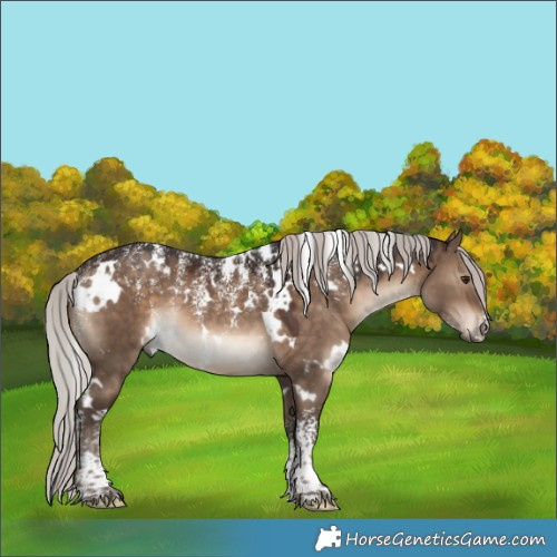 Horse Color:Powder White White Spotted Silver Brown Dun