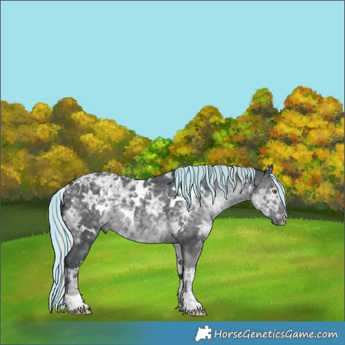Horse Color:Painted White Spotted Silver Black Chinchilla Ice 