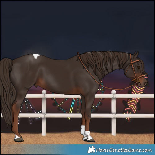 Horse Color:Liver Chestnut Tobiano