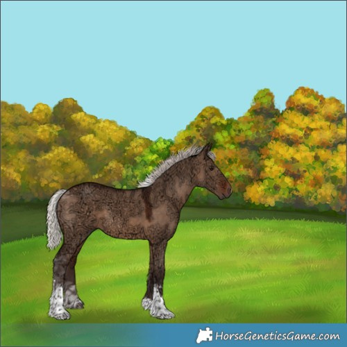 Horse Color:Silver Brown Ice Dun Tobiano 