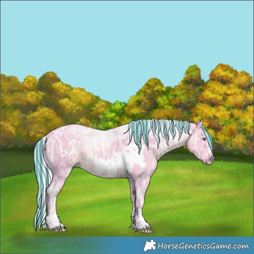 Horse Color:Painted Watercolor White Spotted Silver Black Chinchilla Ice 