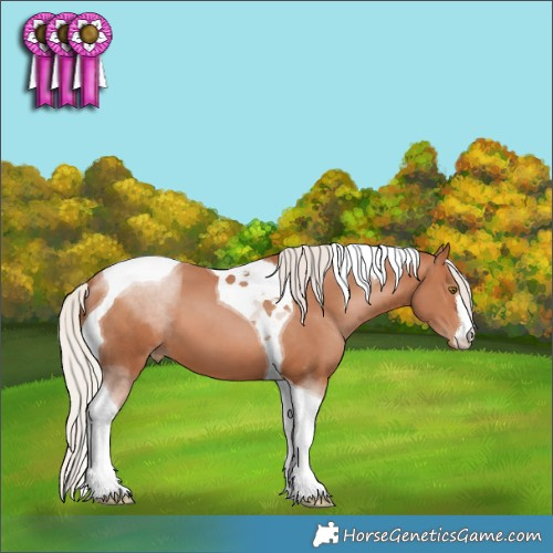 Horse Color:White Spotted Silver Brown Pearl Tobiano