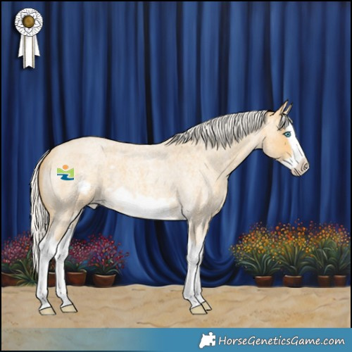 Horse Color:Silver Amber Cream Champagne Roan Splash Frame Appaloosa