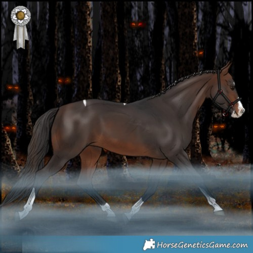 Horse Color:Brown Splash Tobiano Rabicano 