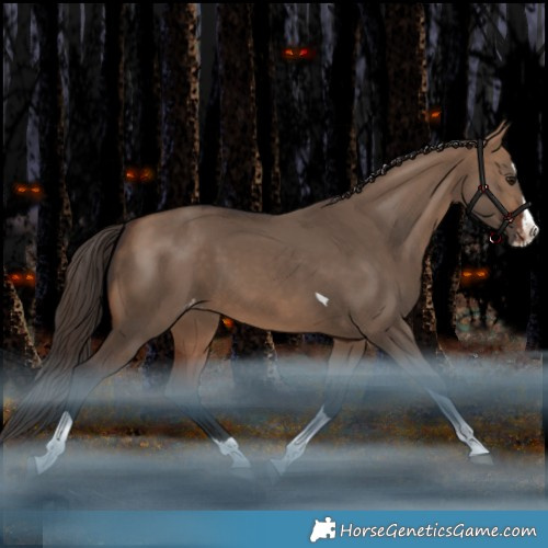 Horse Color:Bay Dun Splash Tobiano Appaloosa Rabicano 