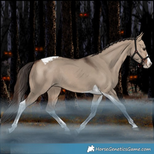 Horse Color:Bay Dun Splash Tobiano Appaloosa Rabicano